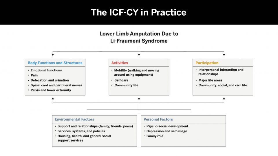 ICF-CY in practice